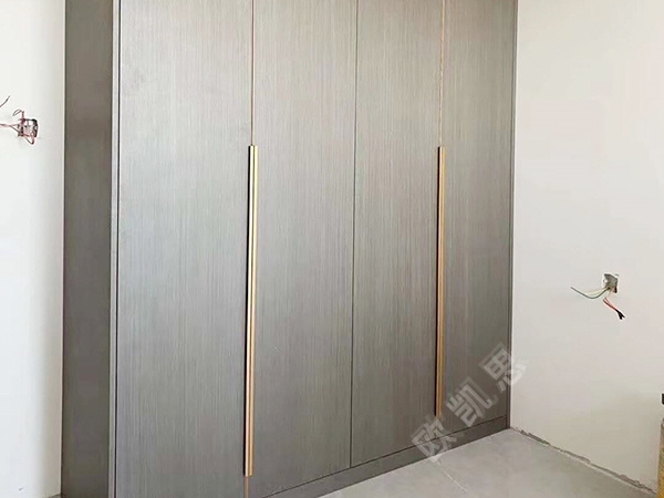 Cabinet swing door wardrobe customization